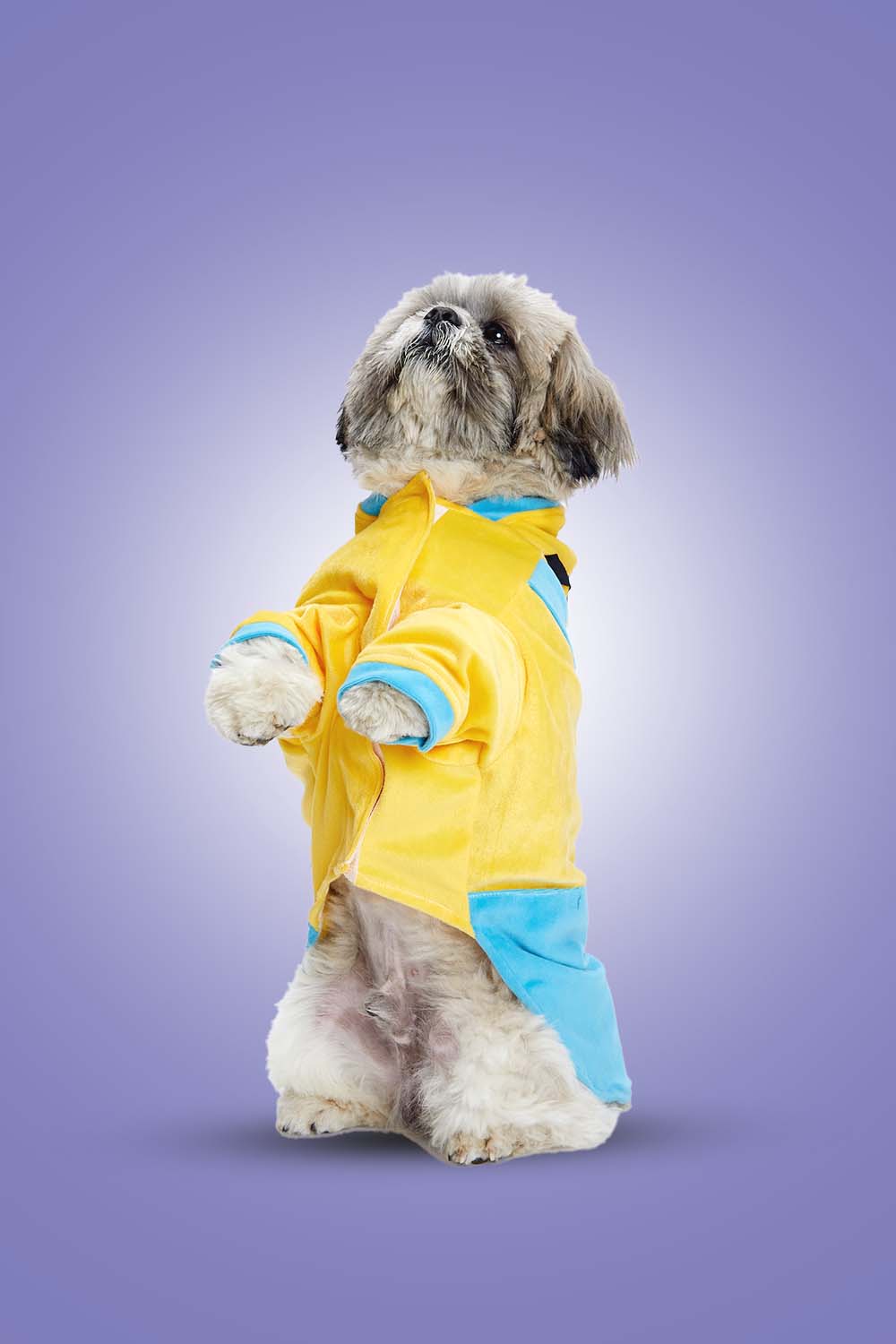 Furryfits Minion Mischief  Dog Clothes Hoodie – Fun, Comfortable & Stylish Wear