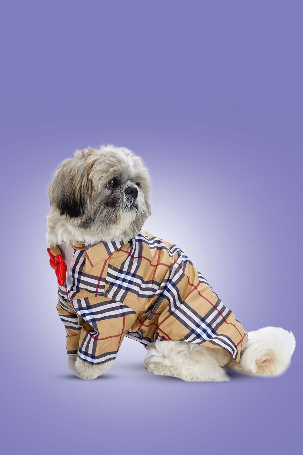 Furryfits Classic Burberry Dog Clothes Shirt – Iconic Style & Everyday Comfort