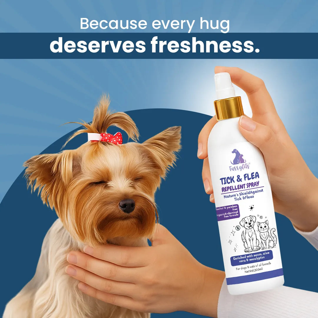 FurryFits Tick & Flea Repellent Dog Spray – Protects Pets from Pests
