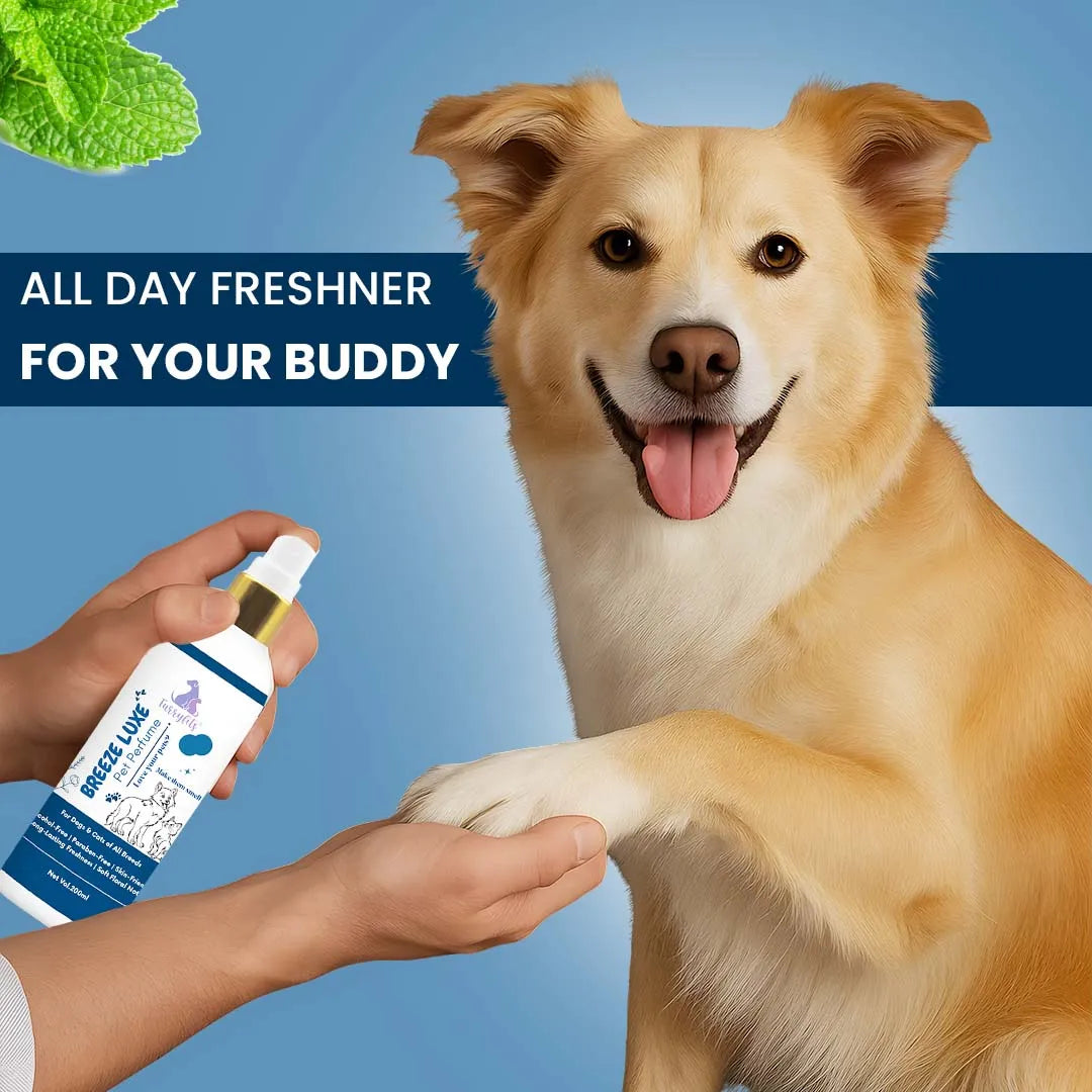 FurryFits Breeze Luxe Perfume – Refreshing Pet Fragrance