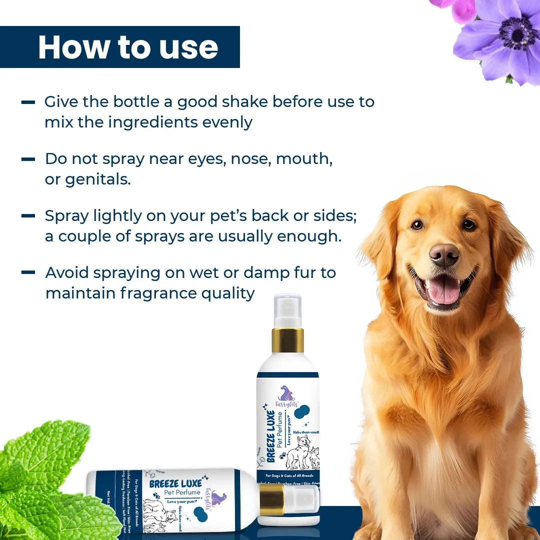 FurryFits Breeze Luxe Perfume – Refreshing Pet Fragrance