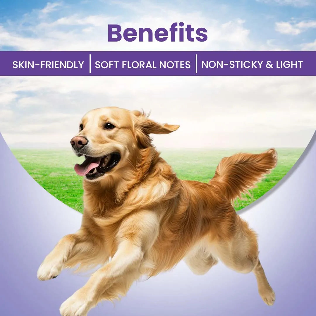 FurryFits Floral Bliss Perfume - Long-Lasting Pet Fragrance