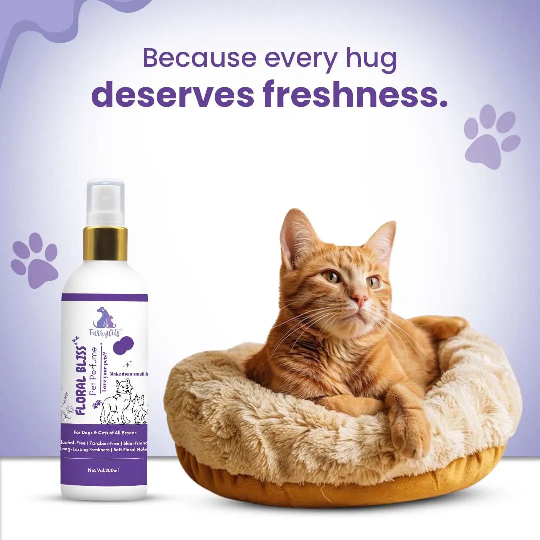 FurryFits Floral Bliss Perfume - Long-Lasting Pet Fragrance