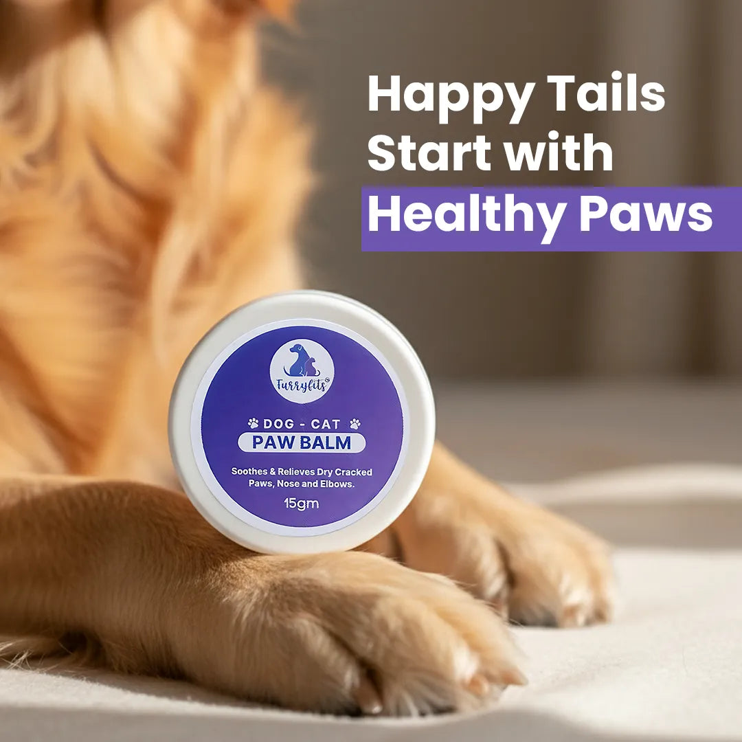FurryFits Paw Cream - Moisturizing & Protective Care for Pets