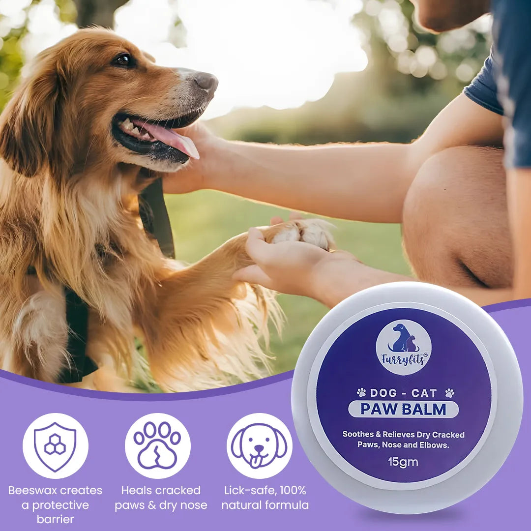 FurryFits Paw Cream - Moisturizing & Protective Care for Pets