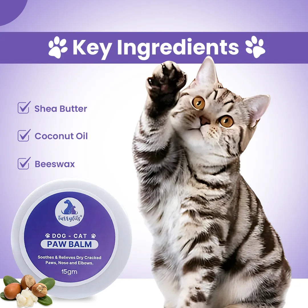 FurryFits Paw Cream - Moisturizing & Protective Care for Pets