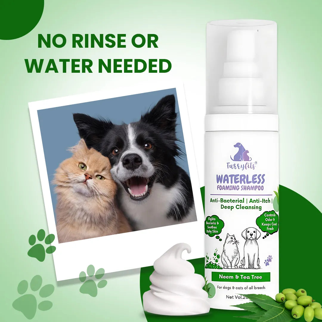 FurryFits Neem & Tea Tree Waterless Shampoo - No-Rinse Foam Shampoo