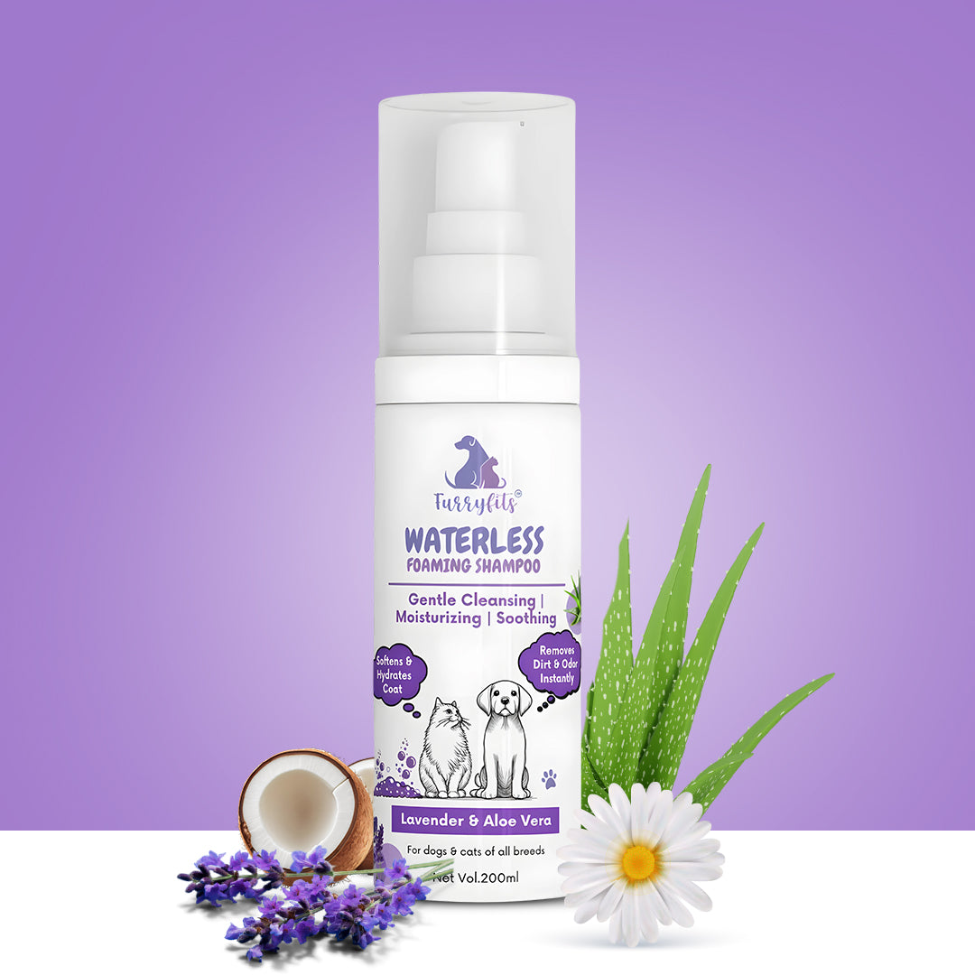 FurryFits Lavender & Aloe Vera Waterless Shampoo - No-Rinse Pet shampoo