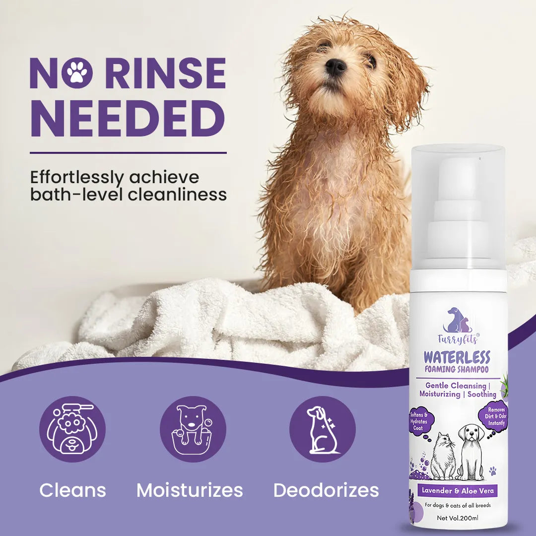 FurryFits Lavender & Aloe Vera Waterless Shampoo - No-Rinse Pet shampoo