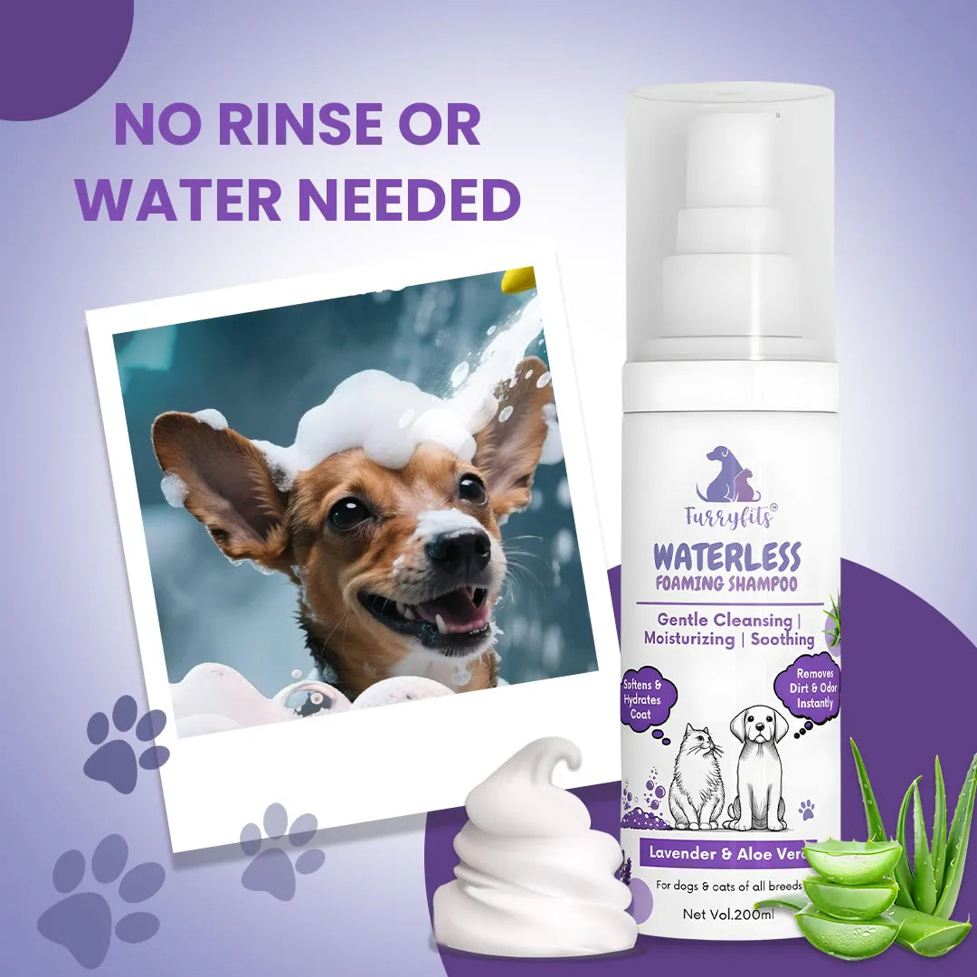 FurryFits Lavender & Aloe Vera Waterless Shampoo - No-Rinse Pet shampoo