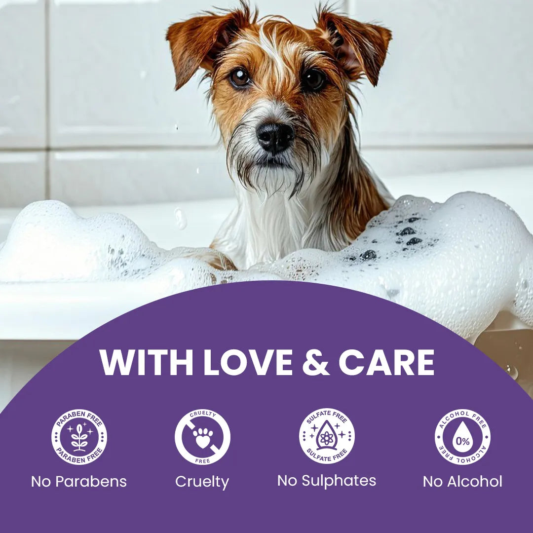 FurryFits Lavender & Aloe Vera Waterless Shampoo - No-Rinse Pet shampoo